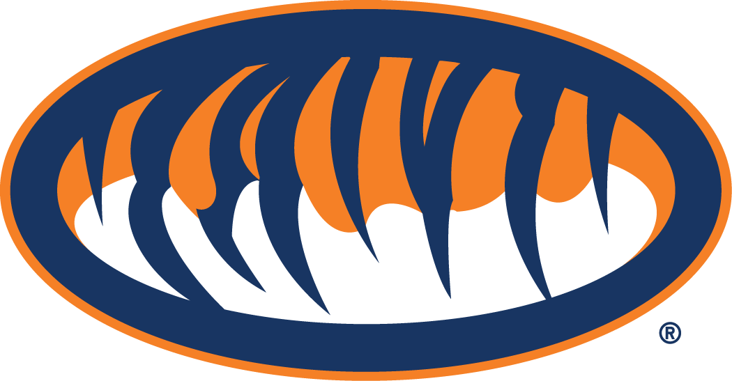 Auburn Tigers 1998-Pres Alternate Logo t shirts DIY iron ons v2